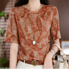 双层网纱夏季新款高级感气质显瘦百搭薄款圆领女士设计感时尚上衣