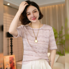 批发双层网纱夏季新款高级感遮肉显瘦时尚圆领百搭<b class='q'>印花</b>减龄短袖上衣