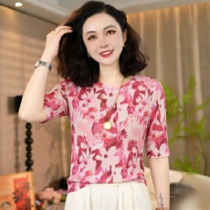 批发双层网纱夏季新款高级感遮肉显瘦时尚圆领百搭<b class='q'>印花</b>减龄短袖上衣