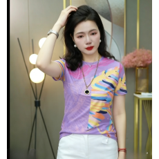 批发双层网纱印花T恤女士夏季<b class='q'>妈妈</b>装圆领半袖洋气设计感小衫上衣