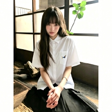 批发学院风卡通腊肠狗<b class='q'>刺绣</b>短袖白<b class='q'>衬衣</b>夏季宽松垂感小个子外搭<b class='q'>衬衫</b>