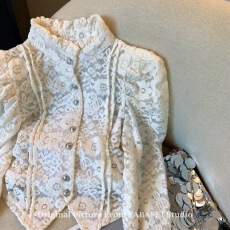 批发宫廷风蕾丝钩花泡泡袖衬衫女春季加绒加厚<b class='q'>打底衫</b>法式半<b class='q'>高领</b>小上衣