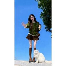 批发复古温柔风超好看宽松毛衣小个子洋气时髦漂亮上衣2025年<b class='q'>秋</b>季