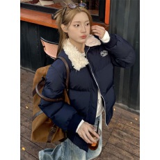 批发韩版慵懒风字母刺绣羊羔毛翻领棉衣外套女冬季新款防寒加厚面包服