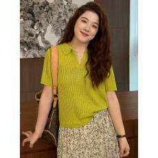 批发2026夏季新款镂空polo领短袖<b class='q'>针织衫</b>女设计感时髦洋气超好看上衣服