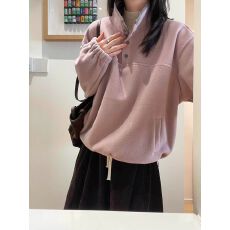 批发秋冬加厚保暖摇粒绒高领卫衣女2025新款宽松<b class='q'>百搭</b>长袖套头上衣ins