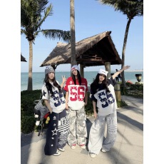 批发刺绣+印花+内里铺布（<b class='q'>纯棉</b>220克）短袖<b class='q'>t</b><b class='q'>恤</b>女