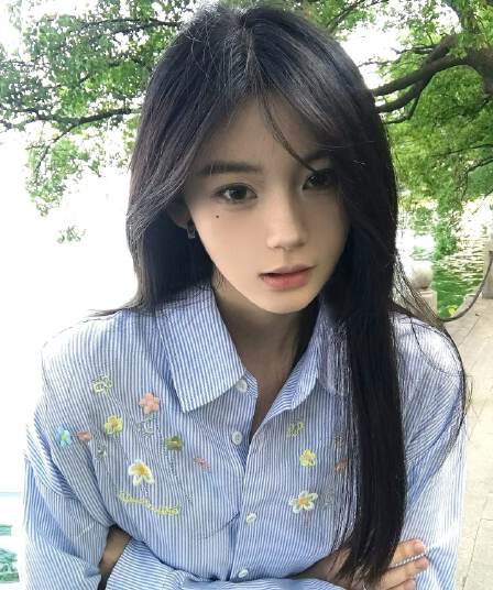꽃 부형제 자수 광저우 컬러 짜임 천 포함 면 60 스트라이프 긴팔 셔츠
