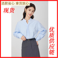 批发体制内穿搭 蓝色通勤立领<b class='q'>衬衫</b>女2025年面试<b class='q'>职业</b>上衣<b class='q'>衬衣</b>女