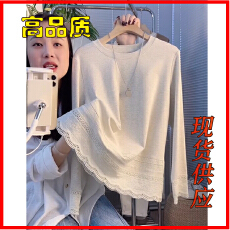批发<b class='q'>秋</b>冬独特漂亮小衫精致打底衫女款爆款2025新款内搭衣