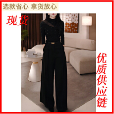 批发新款带钻<b class='q'>拼接</b>长袖T恤加绒加厚打底衫上衣+高腰阔腿垂感直筒裤套装