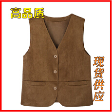 批发仿麂皮马甲春秋季设计感简约休闲显瘦<b class='q'>百搭</b>单排扣无袖坎肩马夹女