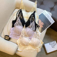 批发实拍 法式<b class='q'>蕾丝</b>美背内衣女士女款胸罩聚拢小胸2025新款<b class='q'>文胸</b>内搭