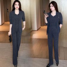 批发爆款<b class='q'>正品</b>时尚休闲套装2025秋季新款洋气显瘦背心外套阔腿裤三件套