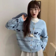 包芯纱韩系复古提花针织开衫女冬外搭宽松短款毛衣外套上衣春