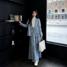 批发春秋搭配一整套大码<b class='q'>胖</b><b class='q'>mm</b>蓝色加绒毛呢<b class='q'>外套</b>半身裙高级感独特套装女
