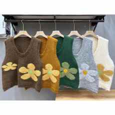 批发实拍 <b class='q'>春</b>秋季复古花朵针织花朵马甲