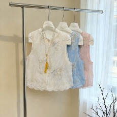 批发蓝色新中式马甲女2025夏季新款刺绣<b class='q'>亮片</b>欧根纱国风叠穿T恤薄<b class='q'>背心</b>