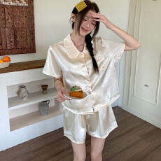 批发夏季女网红风甜美短袖冰雪丝翻领2026年新款高级感家居服<b class='q'>睡衣</b>套装