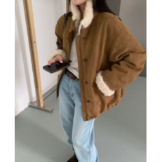 批发<b class='q'>冬</b>季休闲宽松保暖加厚羊羔毛鹿皮绒短外套皮毛派克服