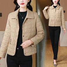 批发小个子妈妈冬装时尚轻薄<b class='q'>羽绒服</b>短款<b class='q'>中老年</b>女洋气