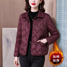 批发小个子妈妈冬装时尚轻薄<b class='q'>棉服</b>服短款<b class='q'>中老年</b>女洋气