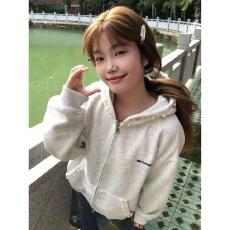 批发云朵绒复合薄款320g，厚款400g<b class='q'>潮牌</b>钉珠刺绣高级设计感<b class='q'>卫衣</b>