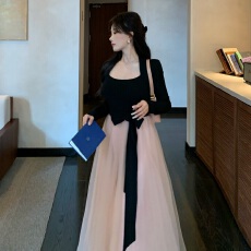 批发韩系温柔风气质千金掐腰显瘦<b class='q'>连衣裙</b>女秋季网纱拼接<b class='q'>撞色</b>大摆长裙子