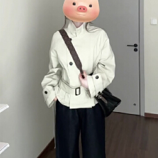 批发韩系休闲英伦风立领短款外套秋季新款巨好看收腰高级感风衣