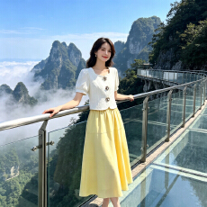 批发小香风洋气连衣裙套装女夏方领短袖衬衫气质半身裙时尚休闲两件套