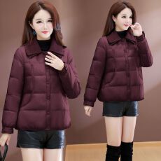 批发高档时尚翻领羽绒服冬季2025新款洋气简约百搭加厚保暖白鸭绒外套