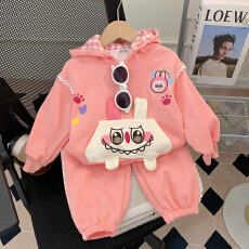 批发女童<b class='q'>套装</b>秋装卡通2025新款洋气春秋儿童连帽<b class='q'>宝宝</b><b class='q'>卫衣</b>两件套