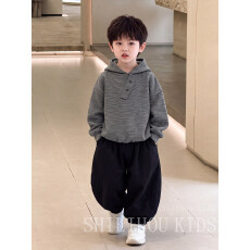 批发<b class='q'>男童</b>痞帅<b class='q'>秋装</b>条纹连帽秋季卫衣套装2026新款儿童两件套发货