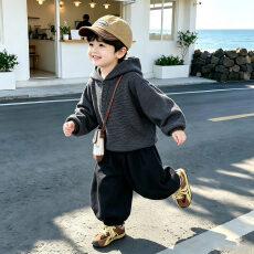 批发<b class='q'>男童</b>秋<b class='q'>装</b>连帽卫衣套装2026新款秋季儿童痞帅条纹两件套发货