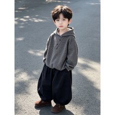 批发痞帅<b class='q'>男童</b>秋<b class='q'>季</b>套装2026儿童新款连帽条纹卫衣休闲时尚两件套