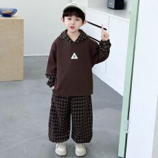 批发<b class='q'>男童</b>秋<b class='q'>季</b>卫衣2026新款格子儿童连帽休闲套装两件套两件男孩
