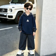 批发<b class='q'>男童</b>秋<b class='q'>季</b>卫衣2026新款儿童格子连帽长裤套装男孩休闲两件套