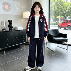 批发2026新款<b class='q'>女</b><b class='q'>童</b>外<b class='q'>套</b><b class='q'>运动</b>套装套装<b class='q'>男</b><b class='q'>童</b>中<b class='q'>大</b>童儿童春秋休闲两件套