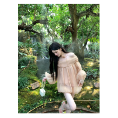 批发法式温柔风立体花朵雪纺衫女秋新款设计感小众洋气时尚<b class='q'>一字领</b>上衣