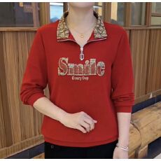 批发新款百搭时尚设计立领拉链上衣2025秋季简约休闲舒适遮肉显瘦长袖