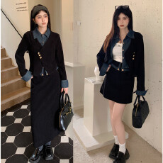 批发实拍大码女装秋<b class='q'>冬</b>新款赫本风显瘦两件套胖MM设计感上衣半身裙套装