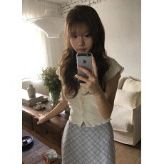 批发小翻领显瘦短款短袖上衣女