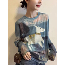 批发高级感印花网纱<b class='q'>长袖</b>T恤春夏新款圆领防晒罩衫休闲<b class='q'>打底衫</b>宽松上衣