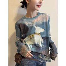 批发高级感印花网纱<b class='q'>长袖</b>T恤春夏新款圆领防晒罩衫休闲<b class='q'>打底衫</b>宽松上衣