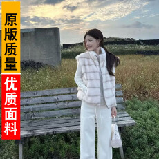 批发环保仿貂毛<b class='q'>皮草</b>马甲冬季保暖立领无袖毛绒背心<b class='q'>外套</b>女