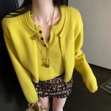 批发2025秋季假两件<b class='q'>针织</b>衫新款<b class='q'>短款</b>慵懒风软糯毛衣圆领长袖上衣