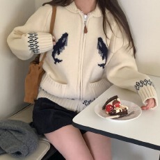 批发韩国chic秋冬复古洋气海豚提花宽松休闲双拉链撞色长袖毛衣外套女