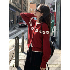 批发2026甜美提花<b class='q'>针织</b><b class='q'>开衫</b>女秋季新款百搭叠穿软糯<b class='q'>圆领</b>毛衣