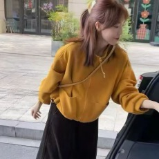 批发<b class='q'>韩版</b>宽松立领拉链卫衣外套女秋冬新款高级感气质慵懒短款<b class='q'>开衫</b>上衣