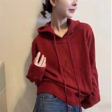 批发2025秋冬韩版慵懒风连帽休闲宽松高级感加厚毛衣短款针织衫上衣